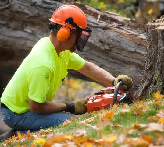 tree services Hillman